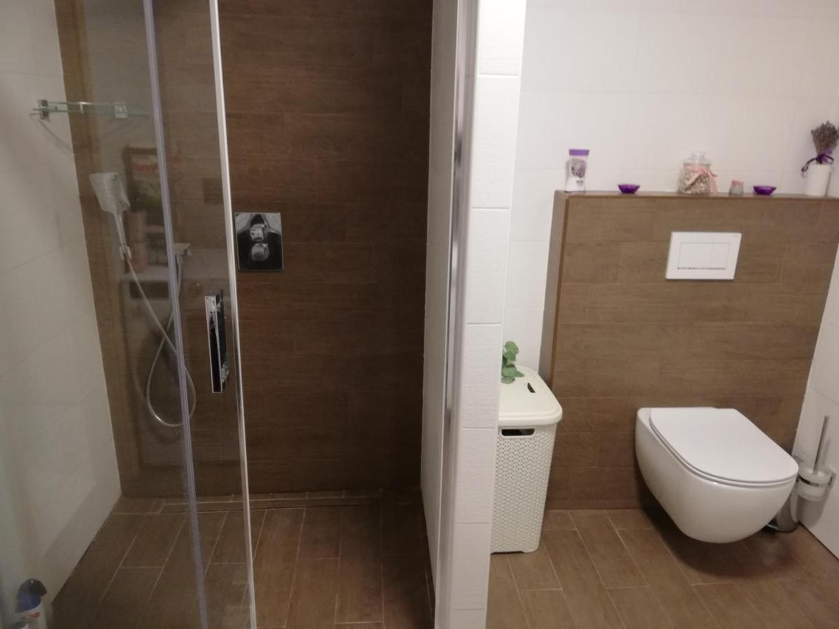 Apartman U Kartouzky Dolany  외부 사진